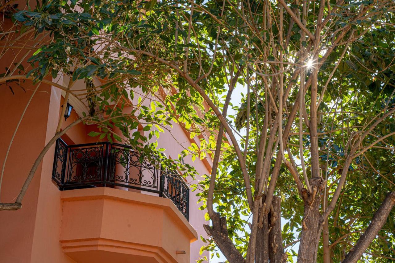 lepalmeras Douar Caïd Layadi Exterior foto