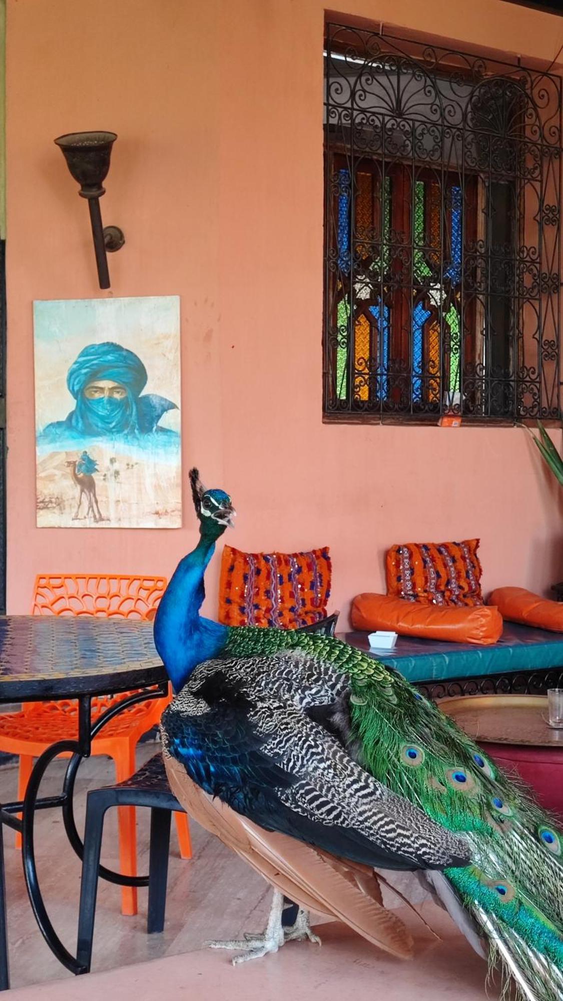 lepalmeras Douar Caïd Layadi Exterior foto